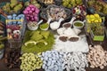 Shop of Turkish sweets and Turkish Delight with Pistachio. Turkish sweets with hazelnuts, almond and nougat. Sweets and