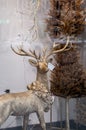 Shop window decorated with Christmas trees and a golden deer Royalty Free Stock Photo