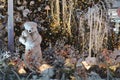 Shop window decoration, shopping center decor. artificial white spruce with garlands. next to them is a toy bear with a teddy bear