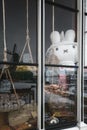 Shop window with the famous Dutch rabbit Miffy