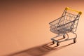 Shopaholic. Buyer. Shopping concept. Close-up. An isolated trolley and shopping basket on a peachy background bisected