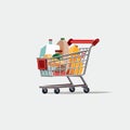 shoping cart vector flat minimalistic isolated illustration