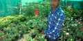 a shopkeeper showing natural flower plant at greenish background in india aug 2019