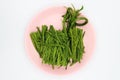 Shopped Climbing Wattle in pink dish on white background