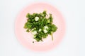 Shopped coriander in pink dish on white background