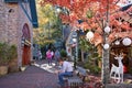 Shoppers in the courtyard of the Village Shoppes in Gatlinburg, Tennessee, USA