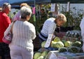 Shoppers inspect goods at a farmers and artisan market.