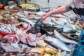 Shoppers visit Fish Market and Select fish to buy.