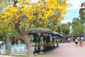 Shoppers walking down Lincoln Road,Miami Beach,Florida with Spring in full bloom,April,2013