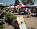 Shoppers walking by plant and food stands at the Burlington farmers market Royalty Free Stock Photo