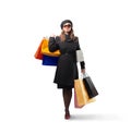 Shopping Royalty Free Stock Photo