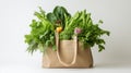 A shopping bag containing ecoconscious and sustainable products