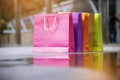 Shopping bags of women crazy shopaholic person at shopping mall indoor. Fashionable Woman love online website with sales tag on Royalty Free Stock Photo