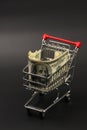 Shopping basket with stack of money american hundred dollar bills inside standing on black background