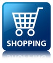 Shopping blue square button Royalty Free Stock Photo