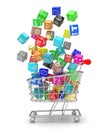 Shopping cart with application software icons