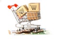 Shopping cart box on Euro banknotes and coins Royalty Free Stock Photo