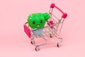 shopping cart with cactus Royalty Free Stock Photo