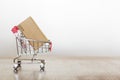 Shopping cart with carboard box Royalty Free Stock Photo