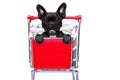 Shopping cart dog Royalty Free Stock Photo