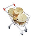 Shopping Cart with Euros and Dollars