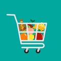 Shopping cart with fresh food and money bag icon Royalty Free Stock Photo