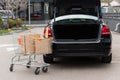 shopping cart with fresh grocery near