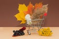 The shopping cart is full of bright autumn leaves, berries and fluffy dried flowers. Conception - autumn sales, delivery