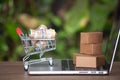 A shopping cart full of Canadian dollar bills climbs onto the laptop keyboard and a pile of express parcels on the keyboard