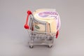 Shopping cart full of money (dollar, euro) Royalty Free Stock Photo