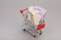 Shopping cart full of money (dollar, euro) Royalty Free Stock Photo