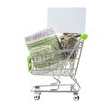 Shopping cart full of money and empty list
