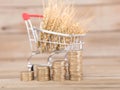 A shopping cart full of ripe wheat ears and a row of growing euro coins Royalty Free Stock Photo