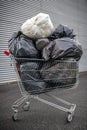 Shopping cart with garbage bags