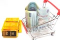 Shopping cart with gold bullion bars and romanian currency lei security investment buying metaphor concept