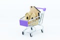 Shopping cart with home. Image use for Business consultants on financial transactions for home loan