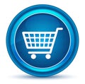 Shopping cart icon eyeball blue round button Royalty Free Stock Photo