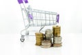 Shopping cart. Image use for online and offline shopping, marketing place world wide, business concept