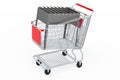 Shopping cart with mangal. 3D rendering