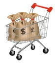 Shopping cart with money bags