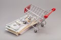 Shopping cart on money (dollar, euro) Royalty Free Stock Photo