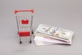 Shopping cart with money (dollar, euro) Royalty Free Stock Photo