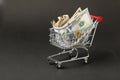 Shopping cart with money