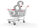 Shopping cart with paragraph