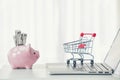 Shopping cart and piggy bank with laptop on the desk Royalty Free Stock Photo