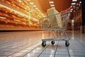 Shopping cart with products in supermarket, closeup. Shopping concept