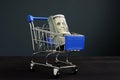 Shopping cart and roll of dollars. Money for loan and borrow cash