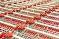 Shopping Carts Royalty Free Stock Photo
