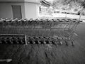 Shopping carts lined up in a row Royalty Free Stock Photo