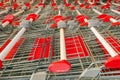 Shopping carts at the supermarket Royalty Free Stock Photo